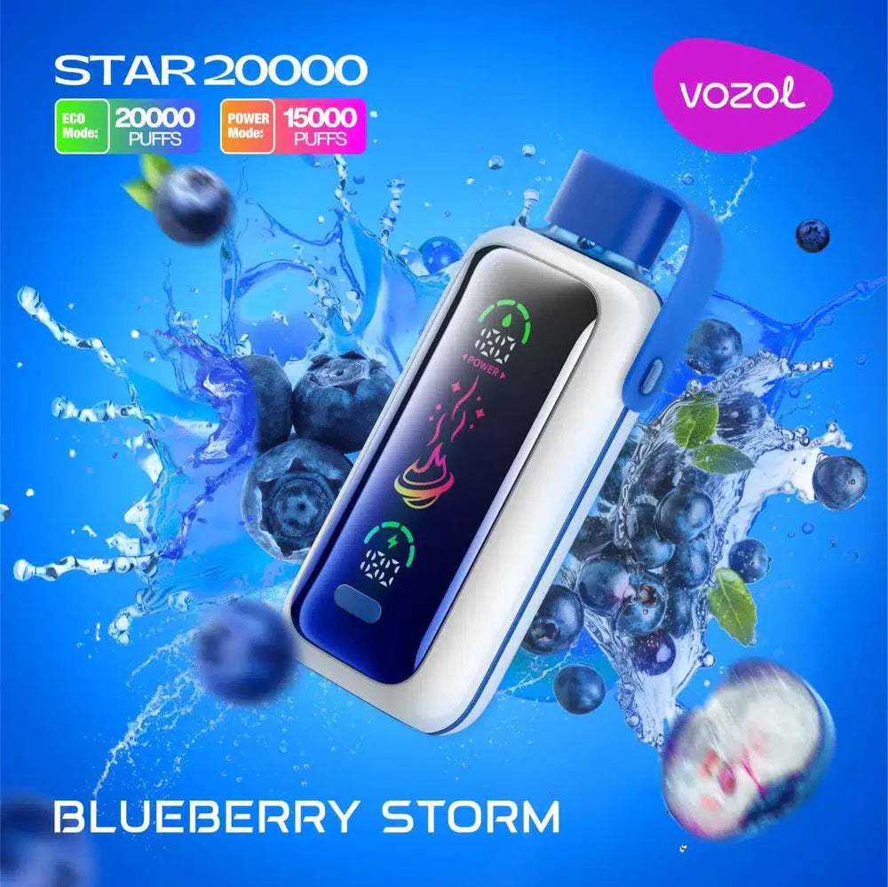 VOZOL Star 20000 Puffs Disposable Vape wholesale  Blueberry-Storm